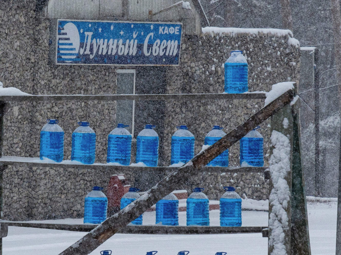 Жизнь вокруг