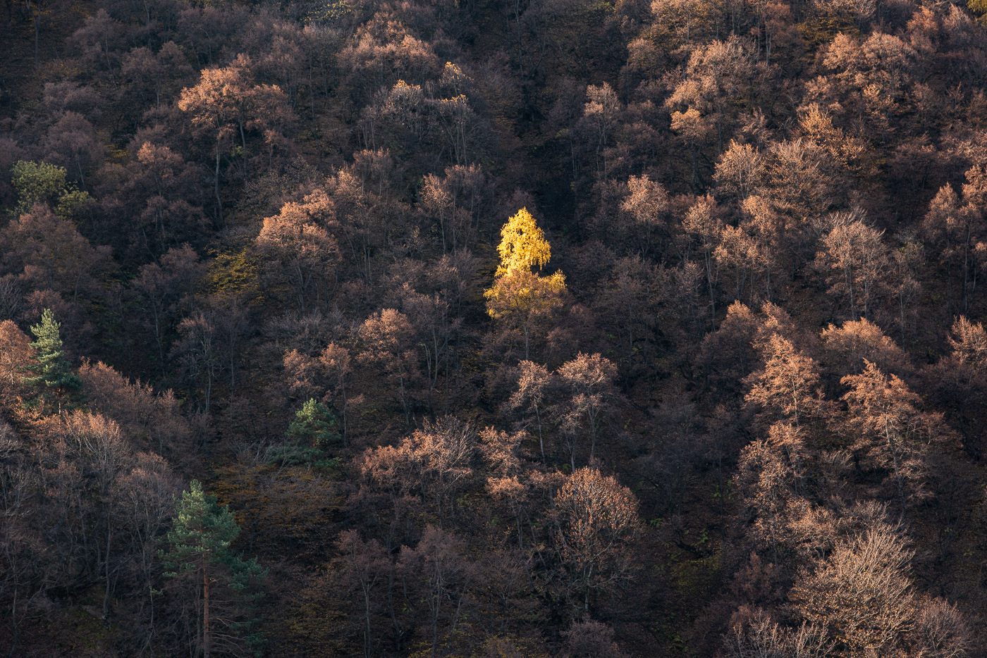 Чужой среди своих