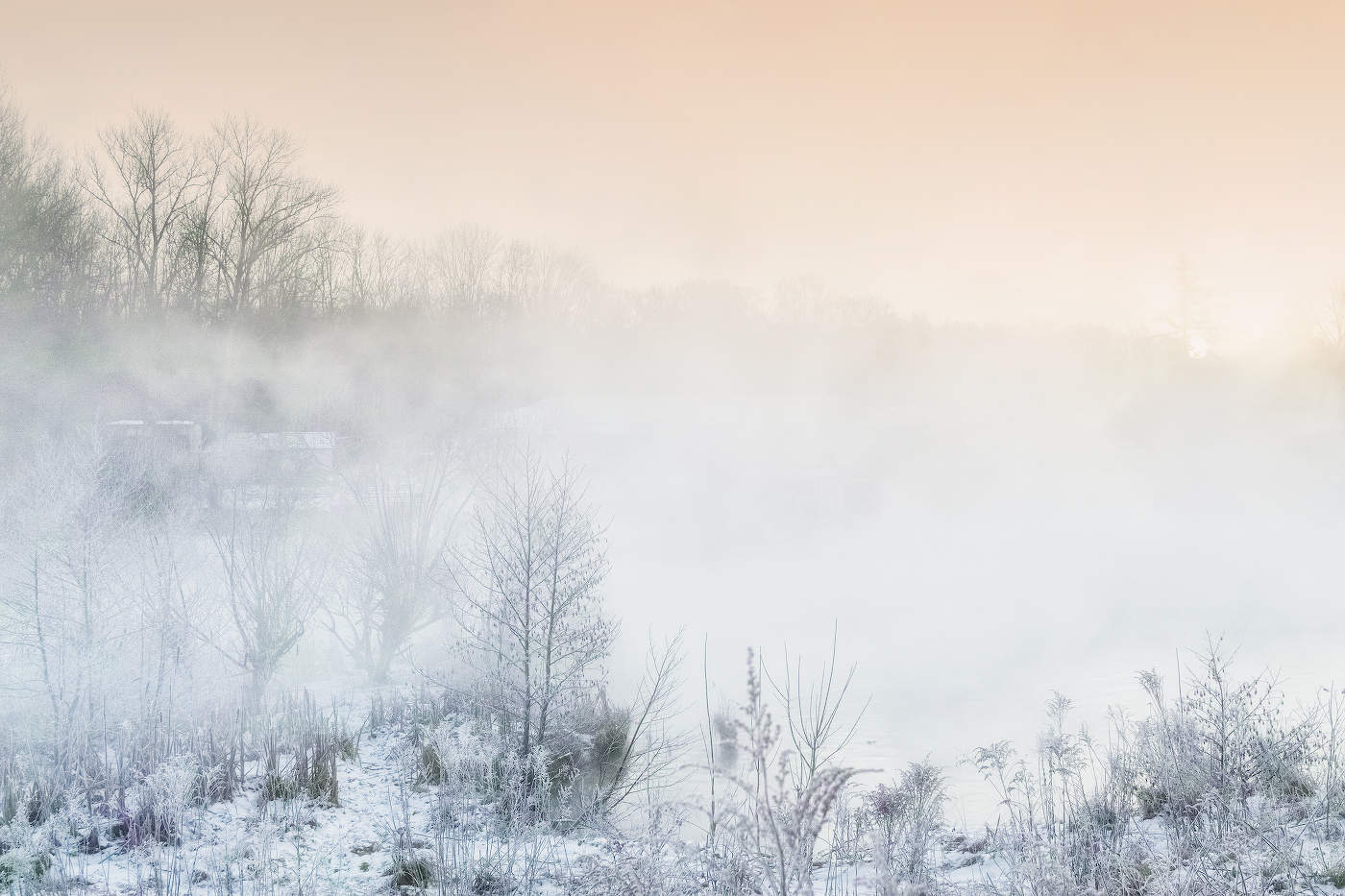Зимний туман