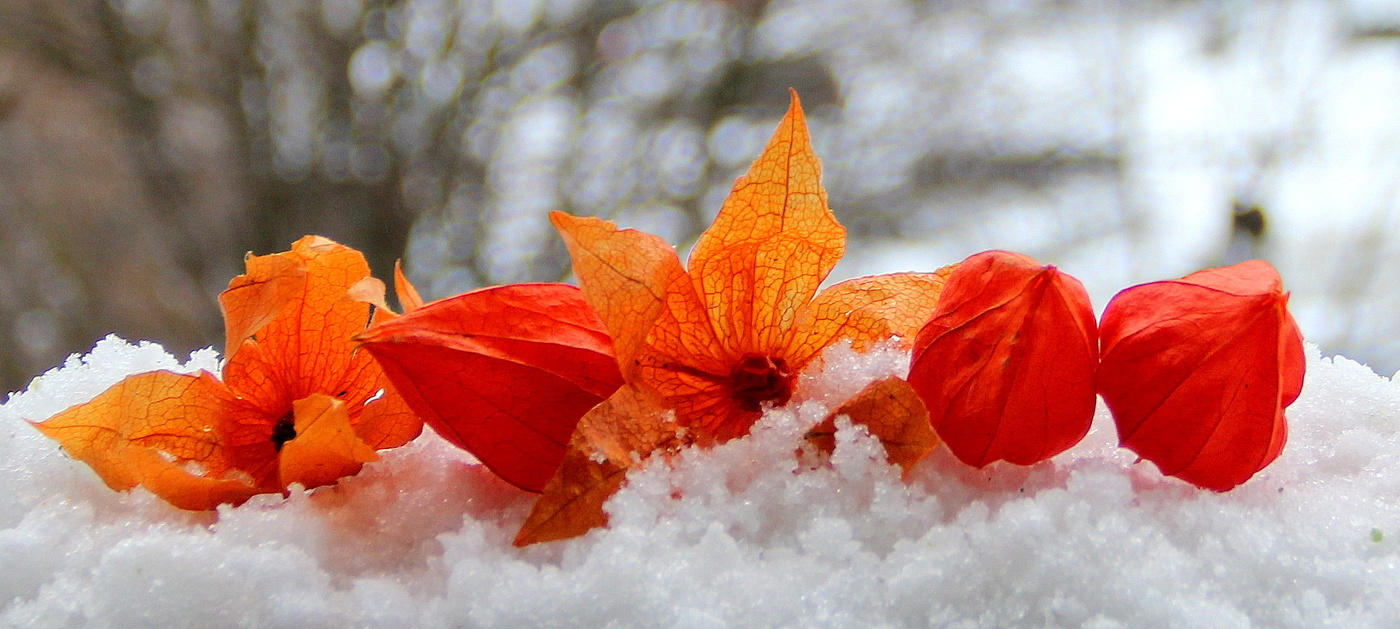 Для настроения!