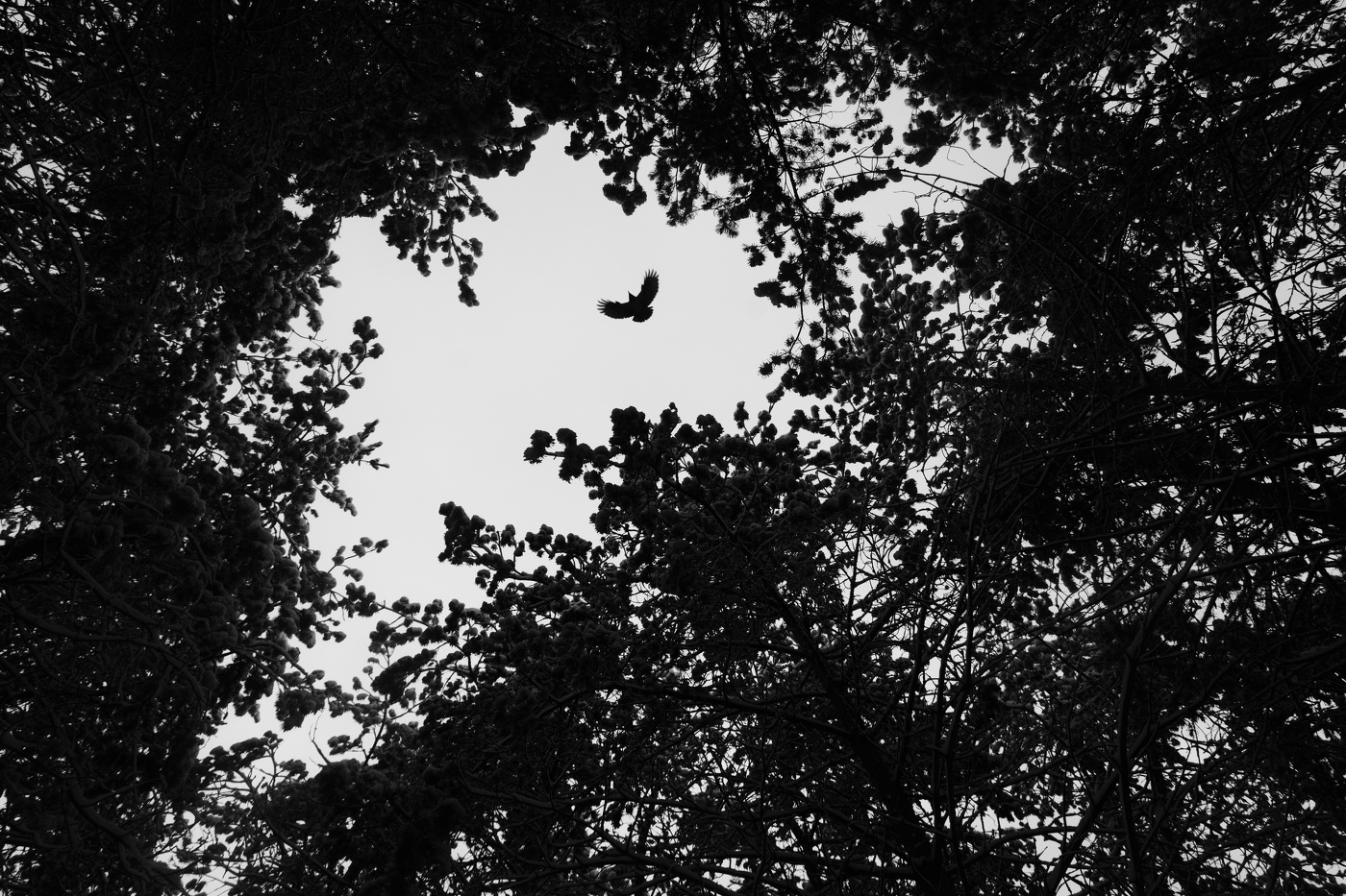 Жизнь вокруг