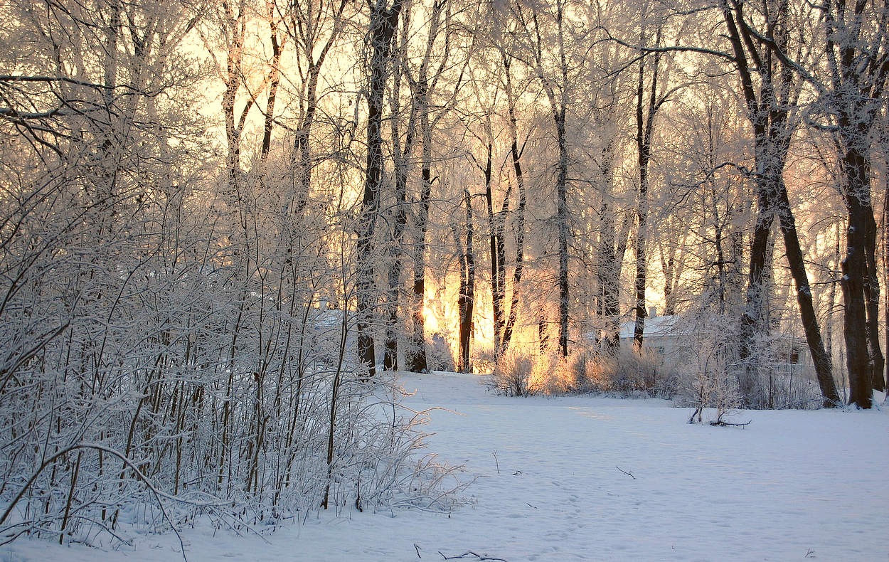 В гости к Снежной Королеве