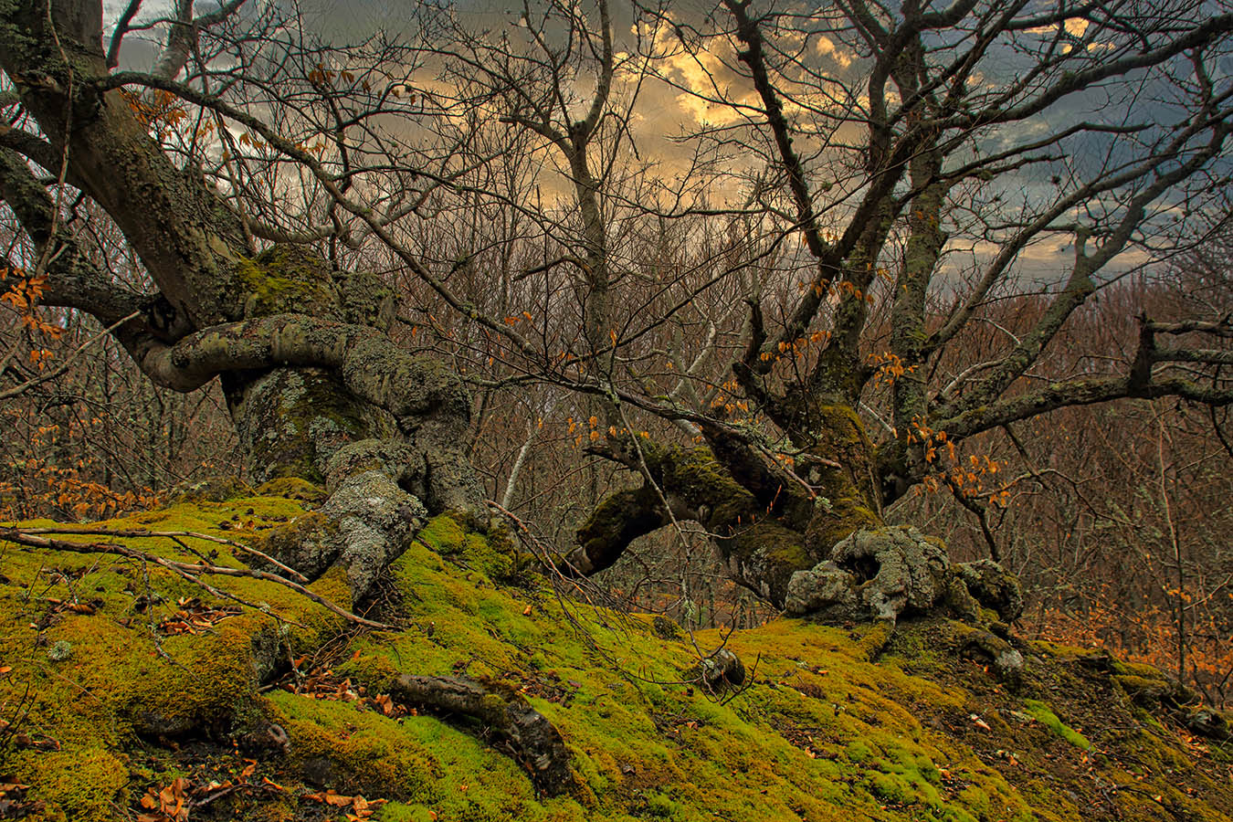 На склонах Демирджи