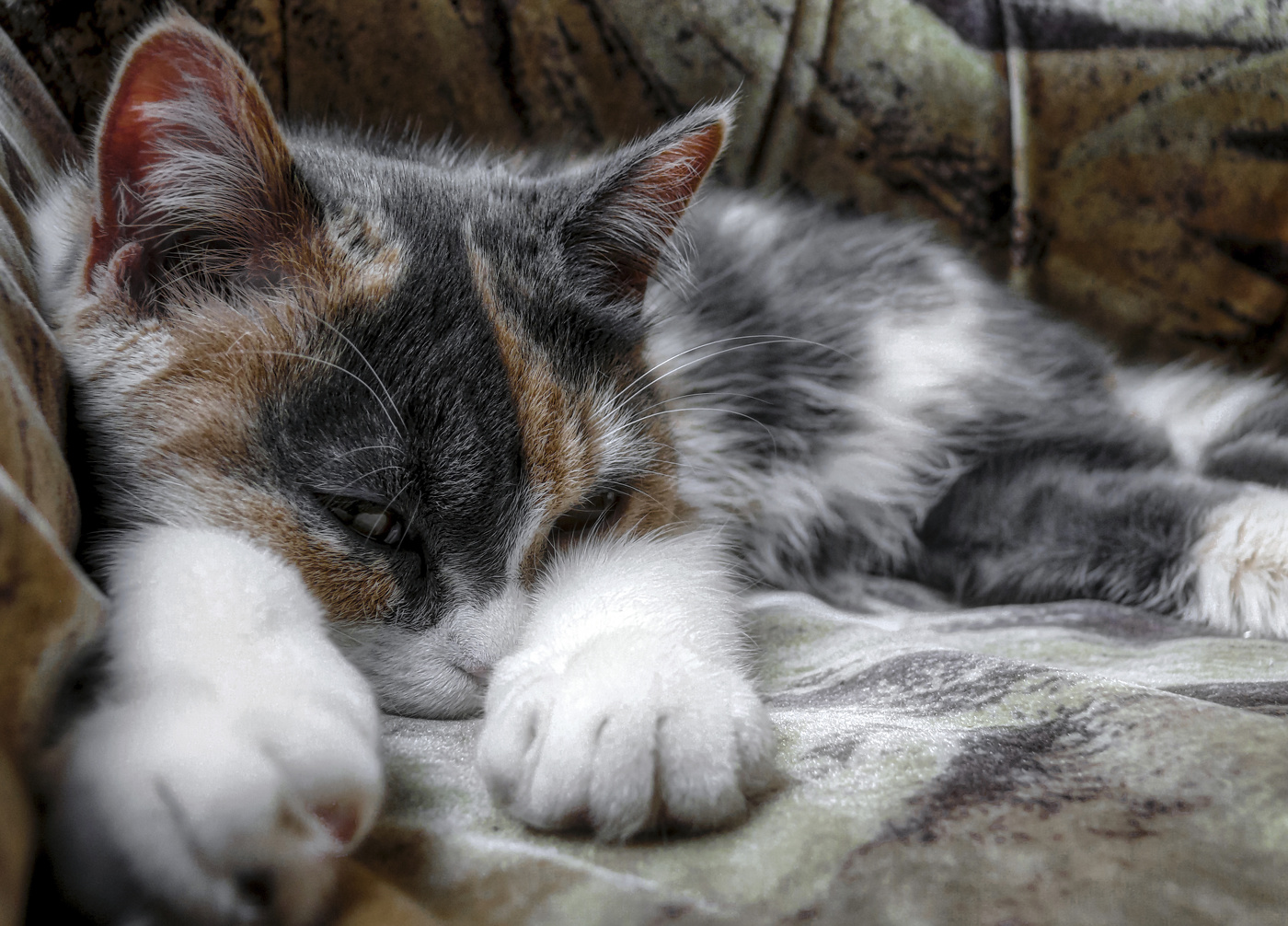 Ульяна. Задумчивое.