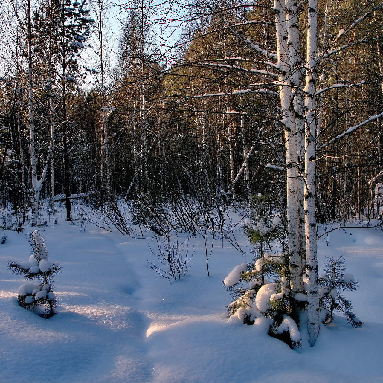 *Коротким декабрьским днём.**