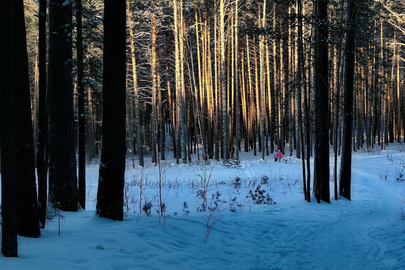 *На лесной тропинке.**
