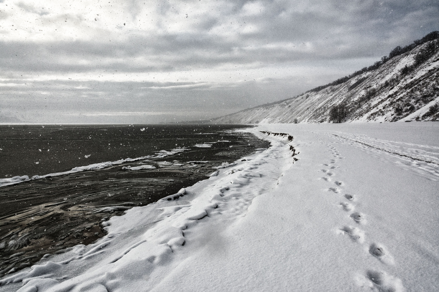 Жизнь вокруг