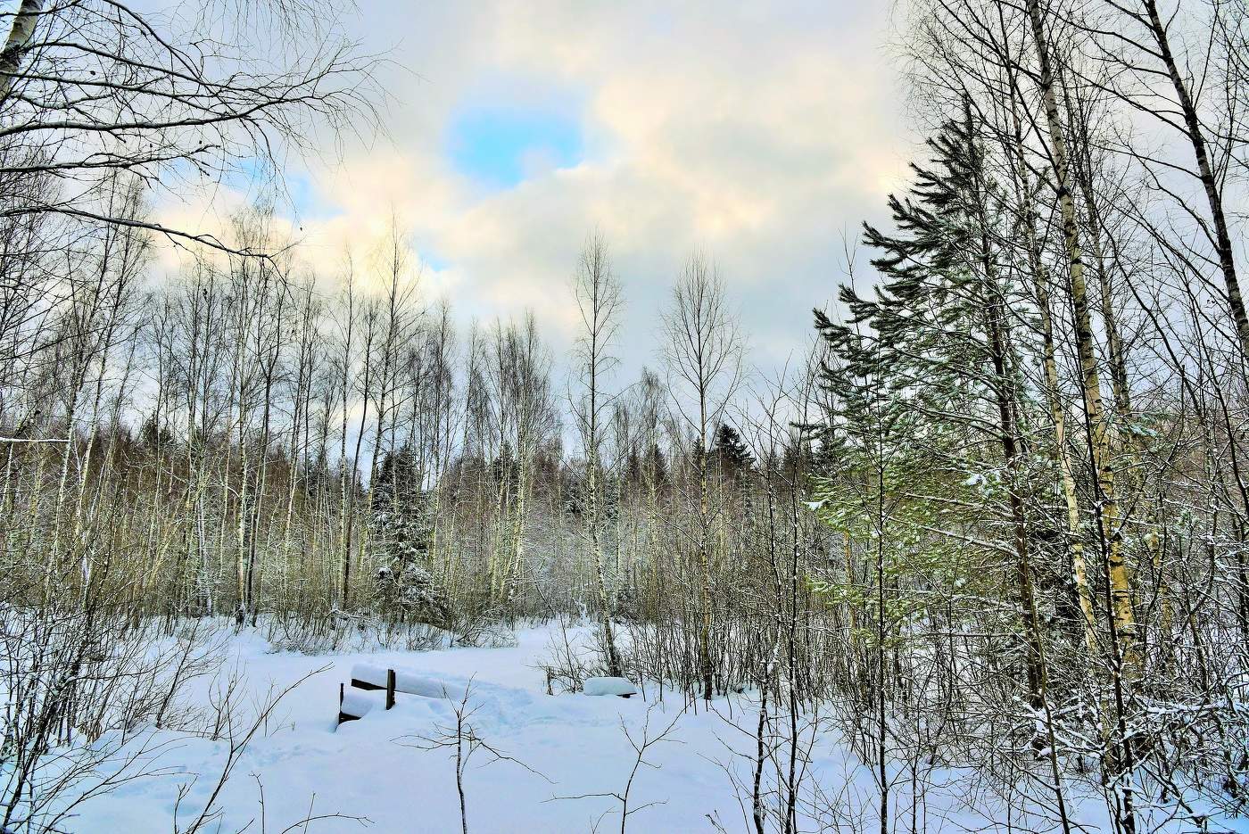 Зимний день ...