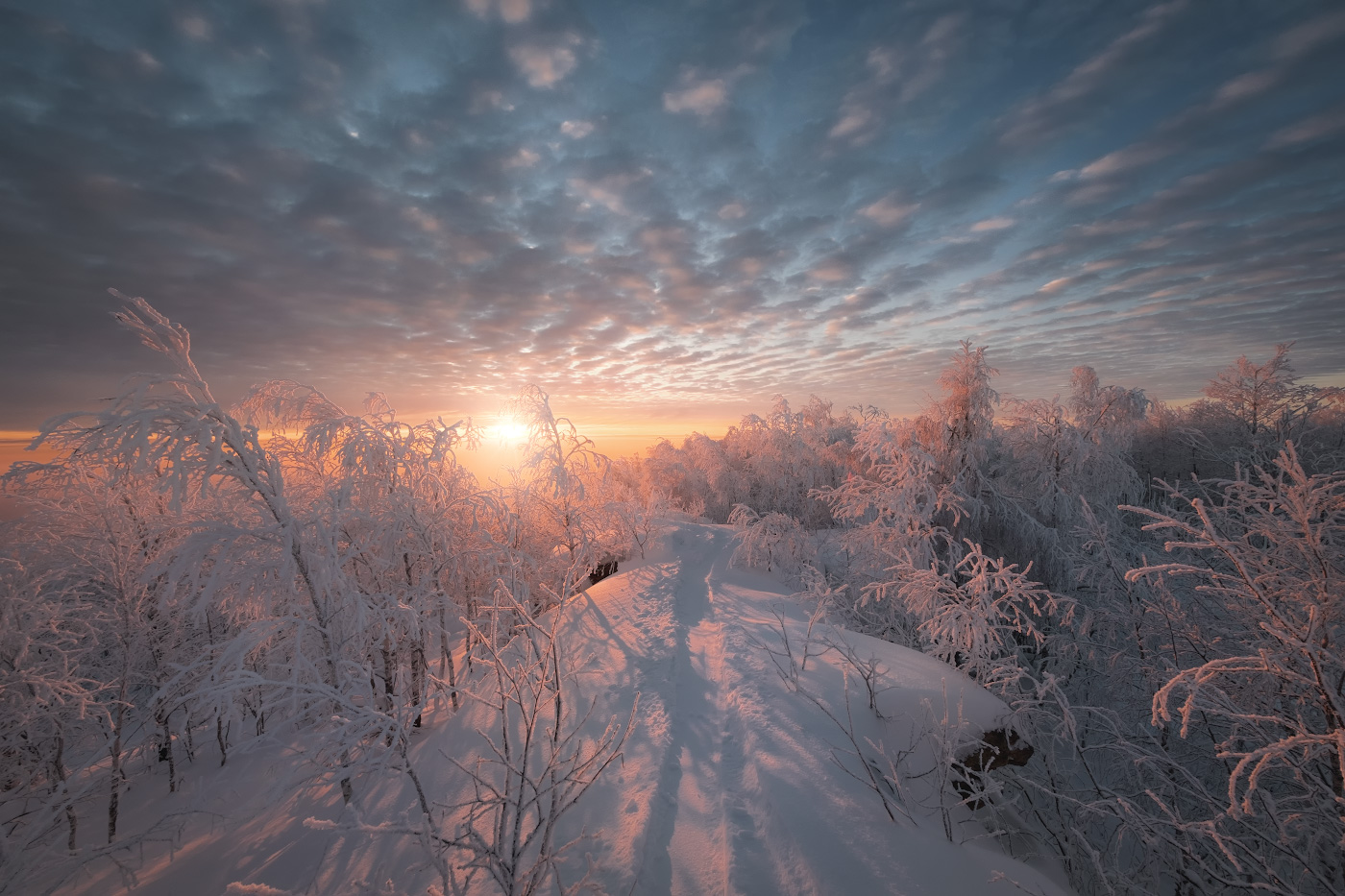 Тропинка к солнцу