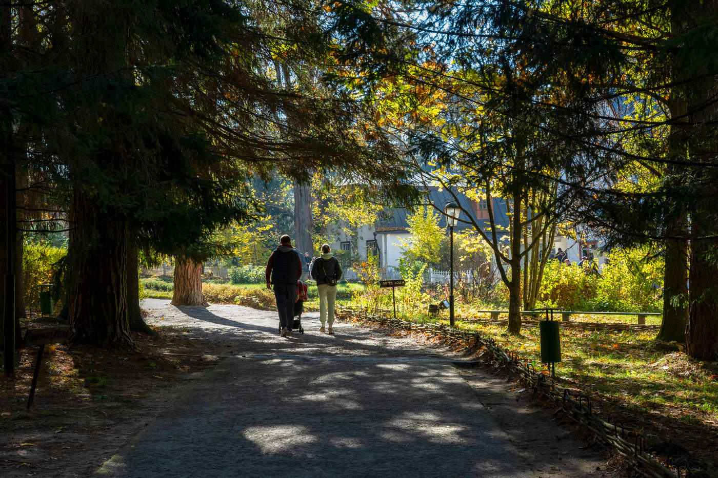 хороший день