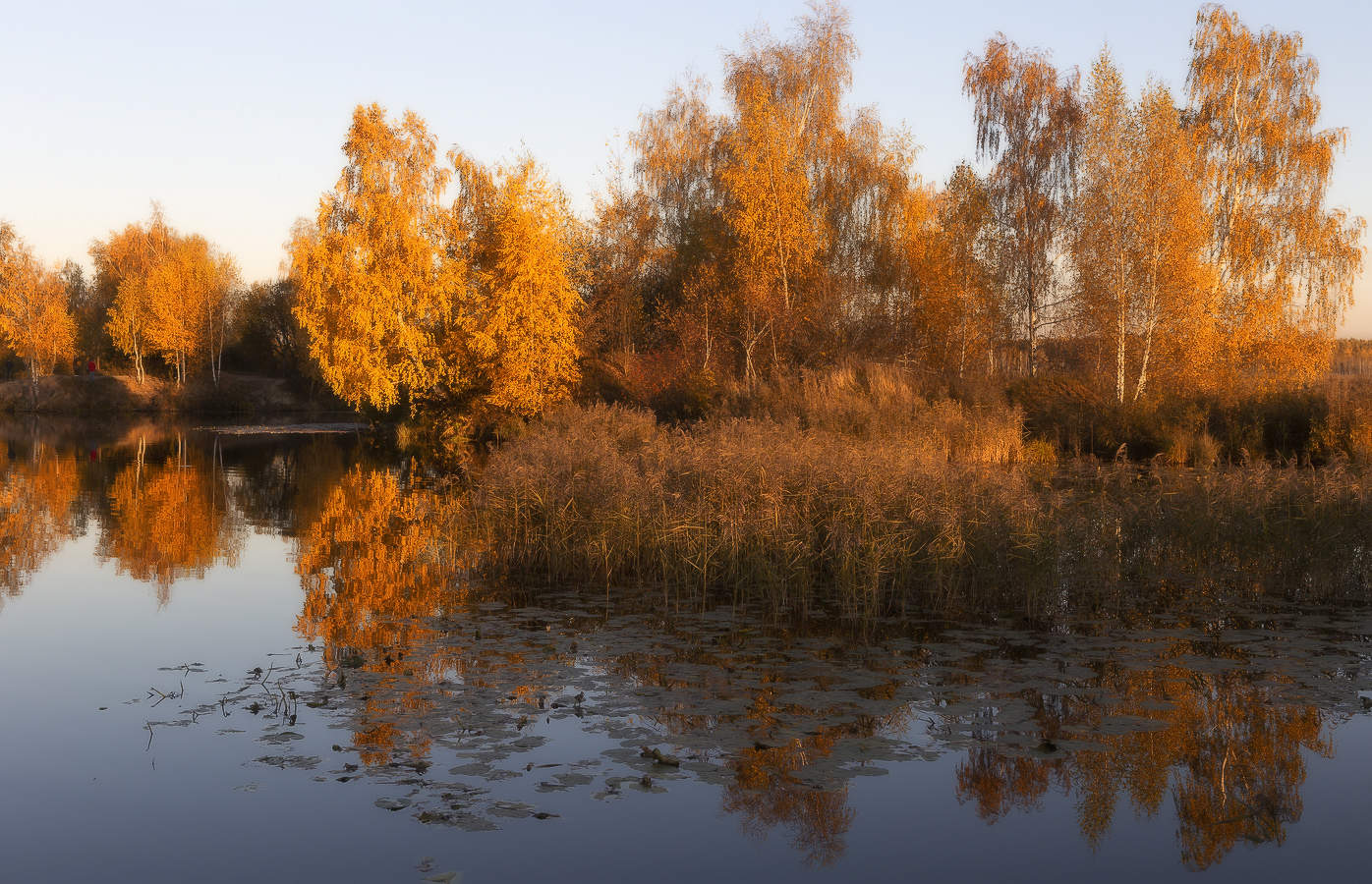 Золотая осень