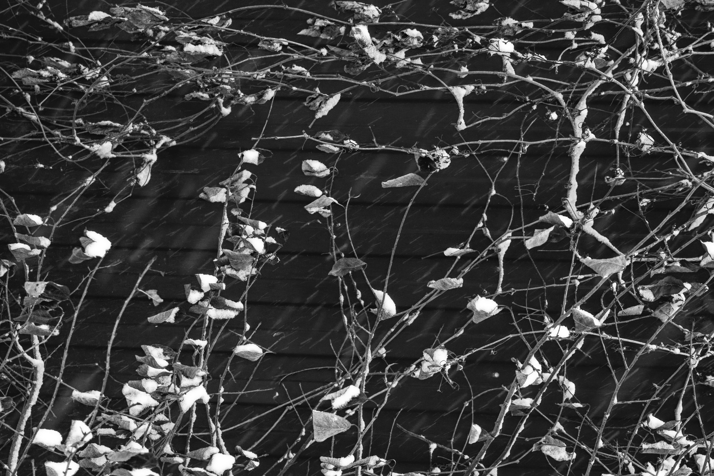 Жизнь вокруг