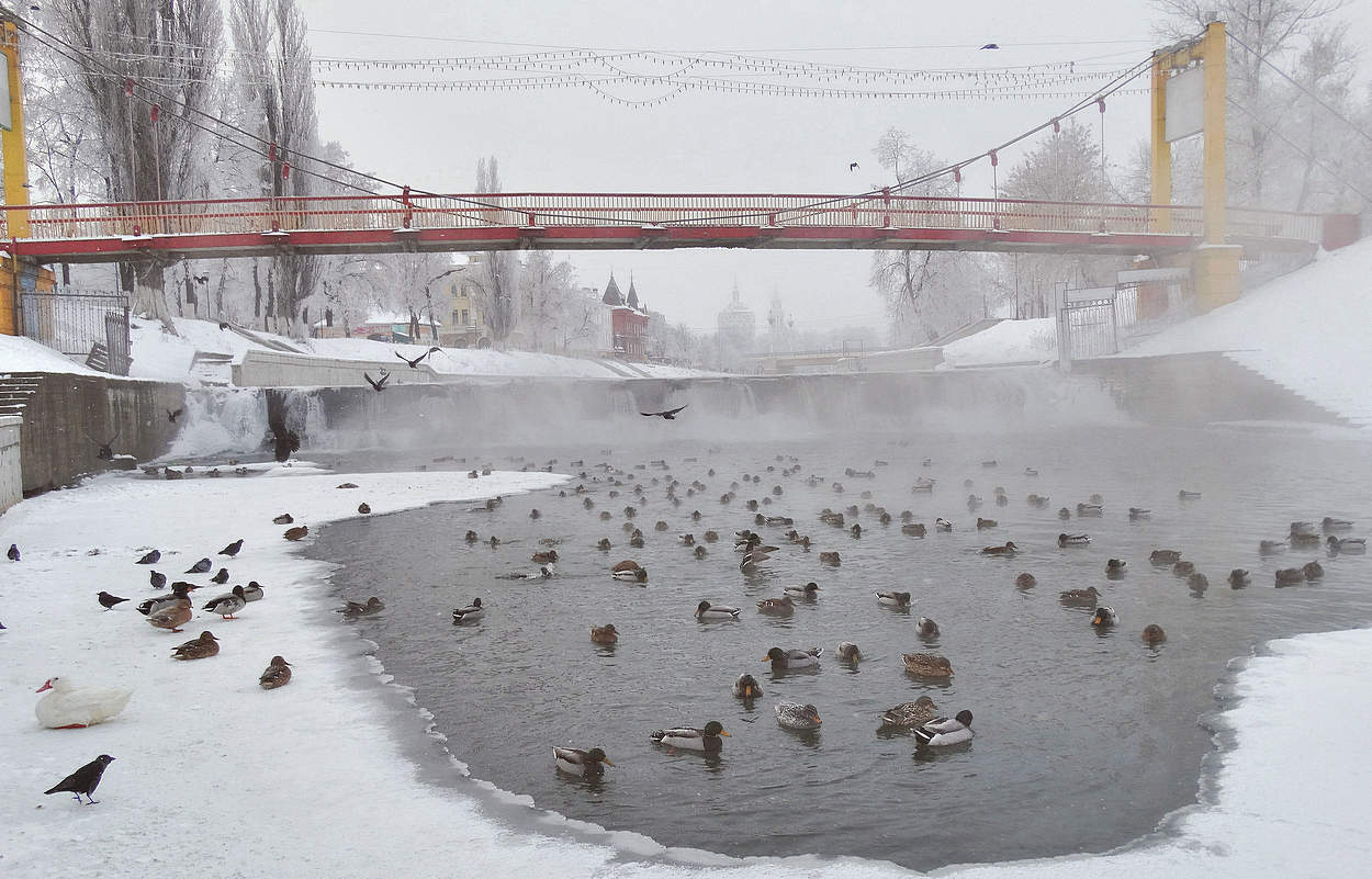 Пришедшие морозы сковали реку