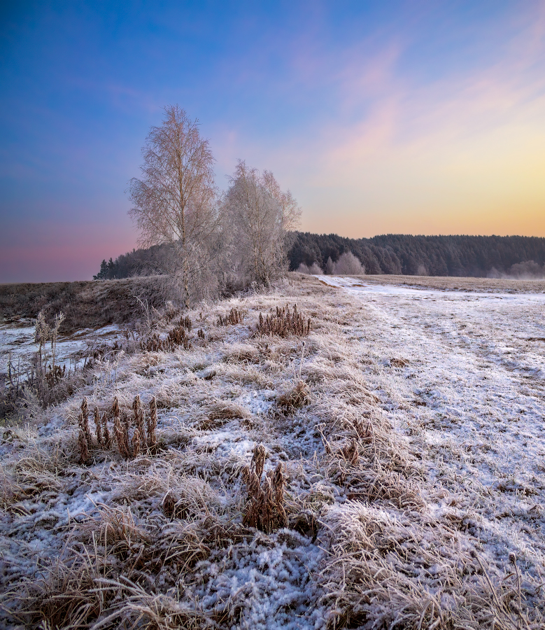 Утро зимнее