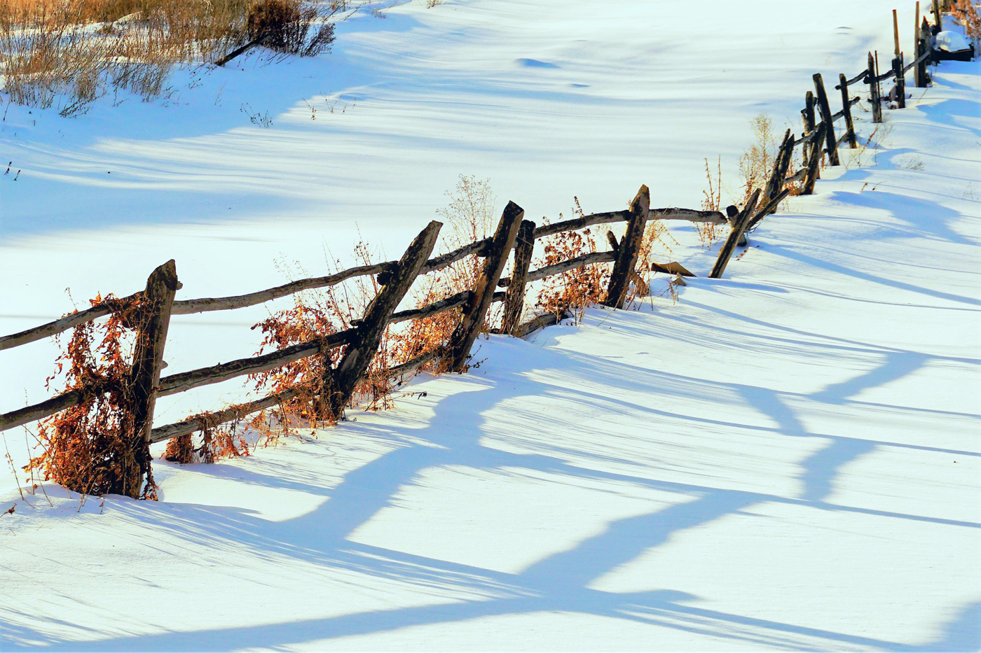 Старая изгородь