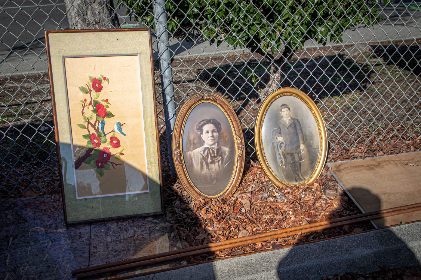 Продаются предки...