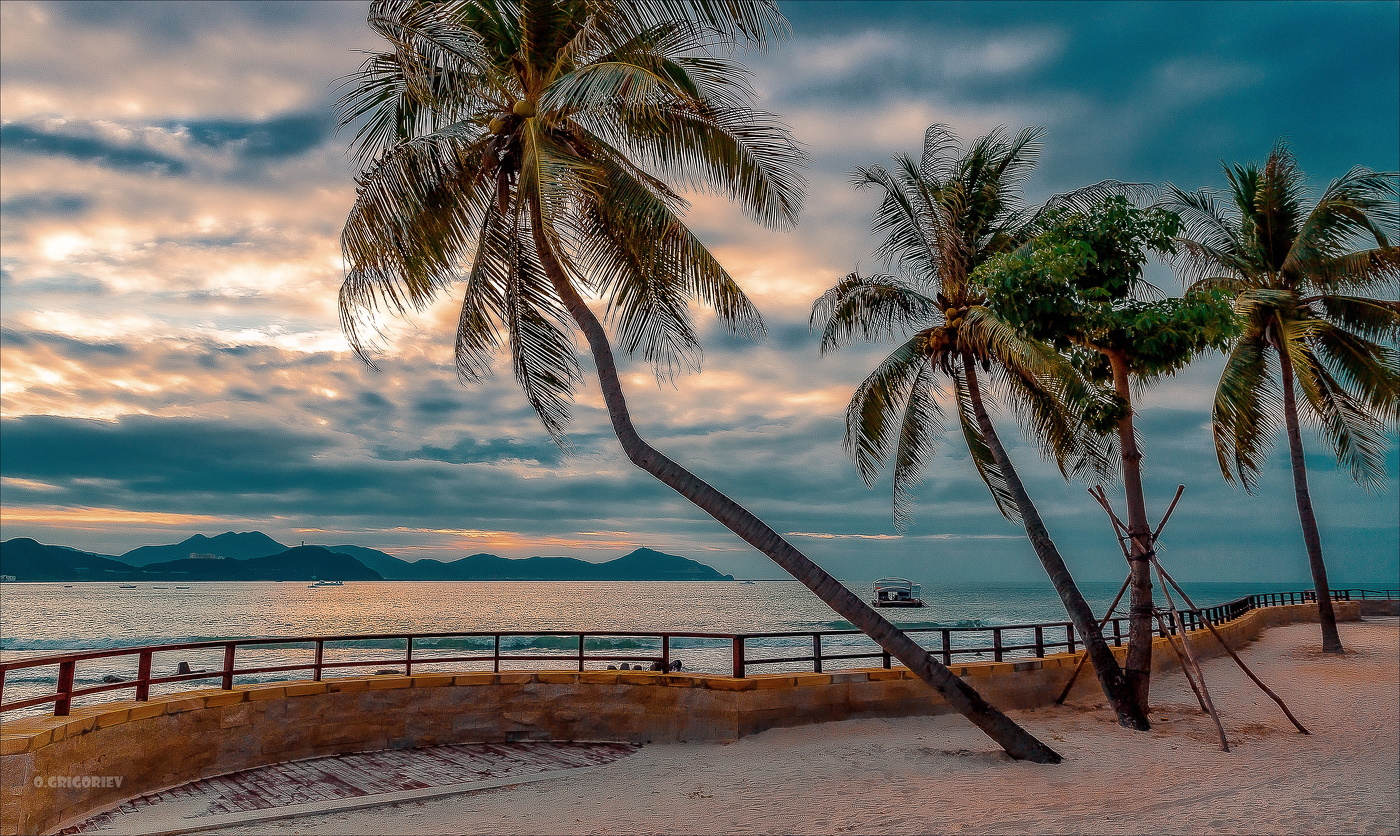 Утро кокосовых пальм.