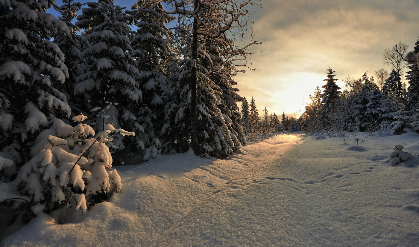 Садилось солнце...