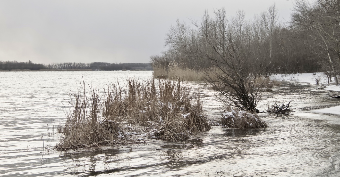 Зимним Декабрьским днем