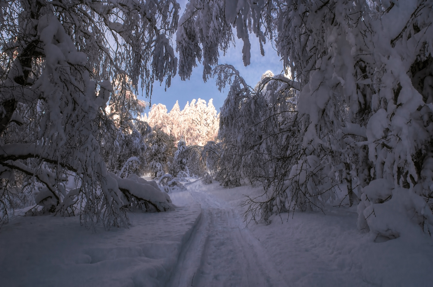 Дорога к свету