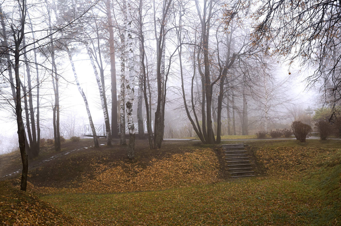 Осенний пейзаж