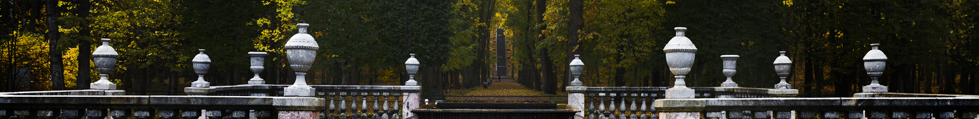 Нестандартный Петергоф - 11