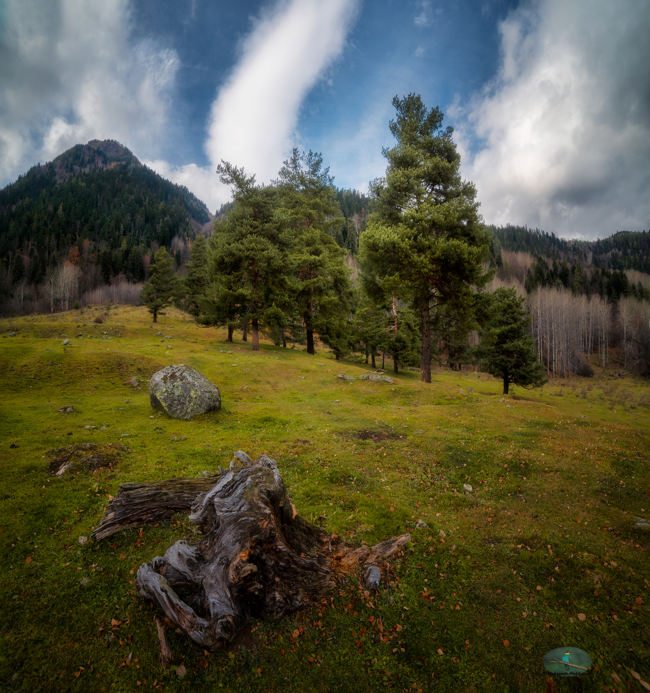 Под небом осени