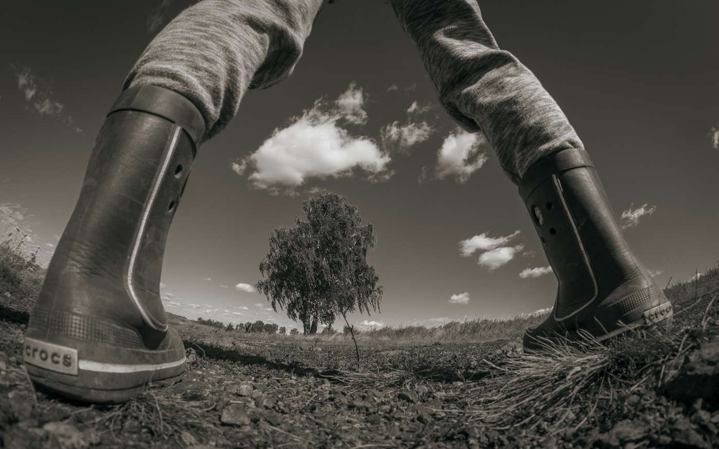 Высокомерный взгляд на природу