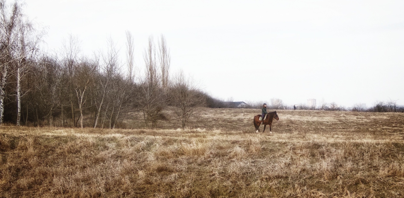Загородная прогулка