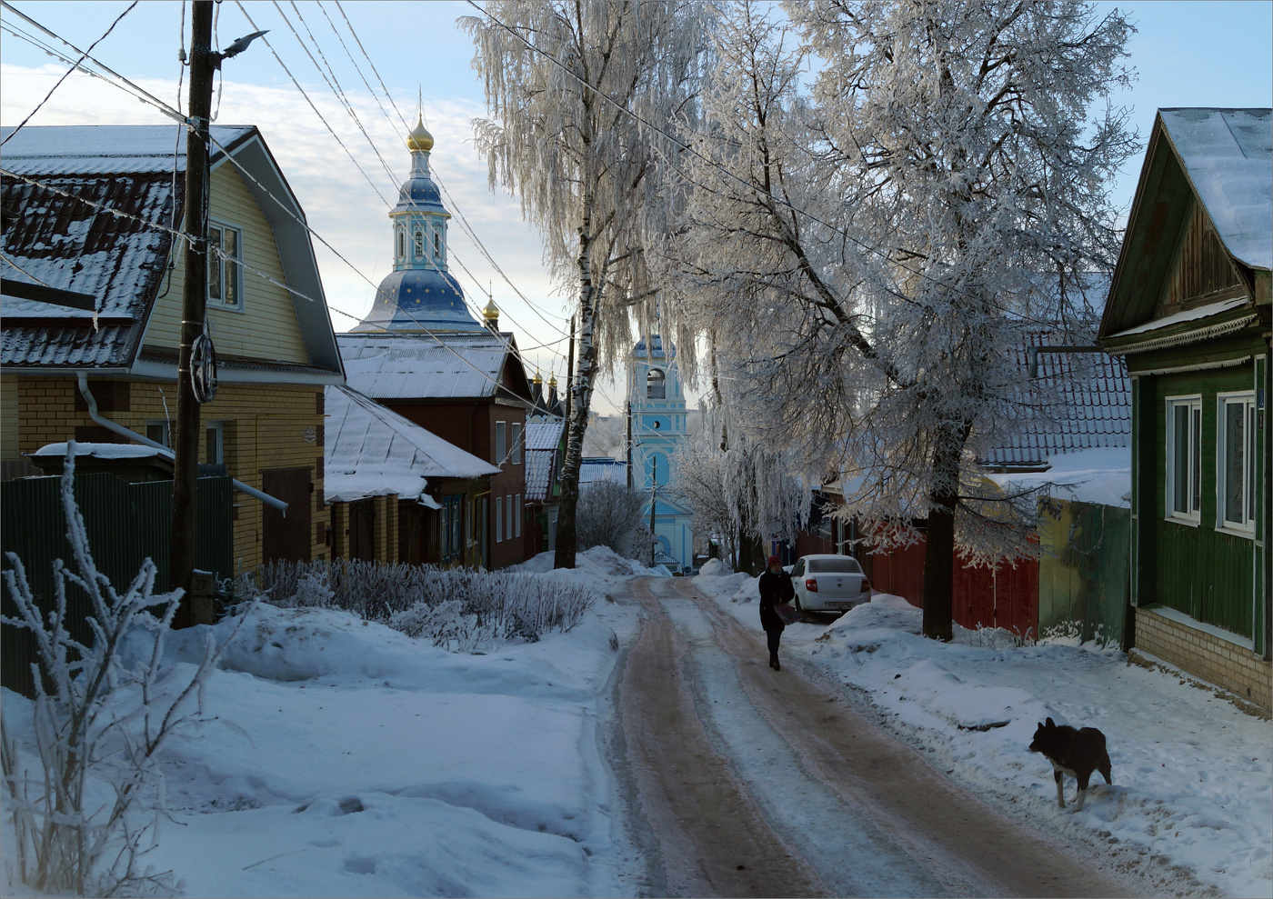 На прогулку