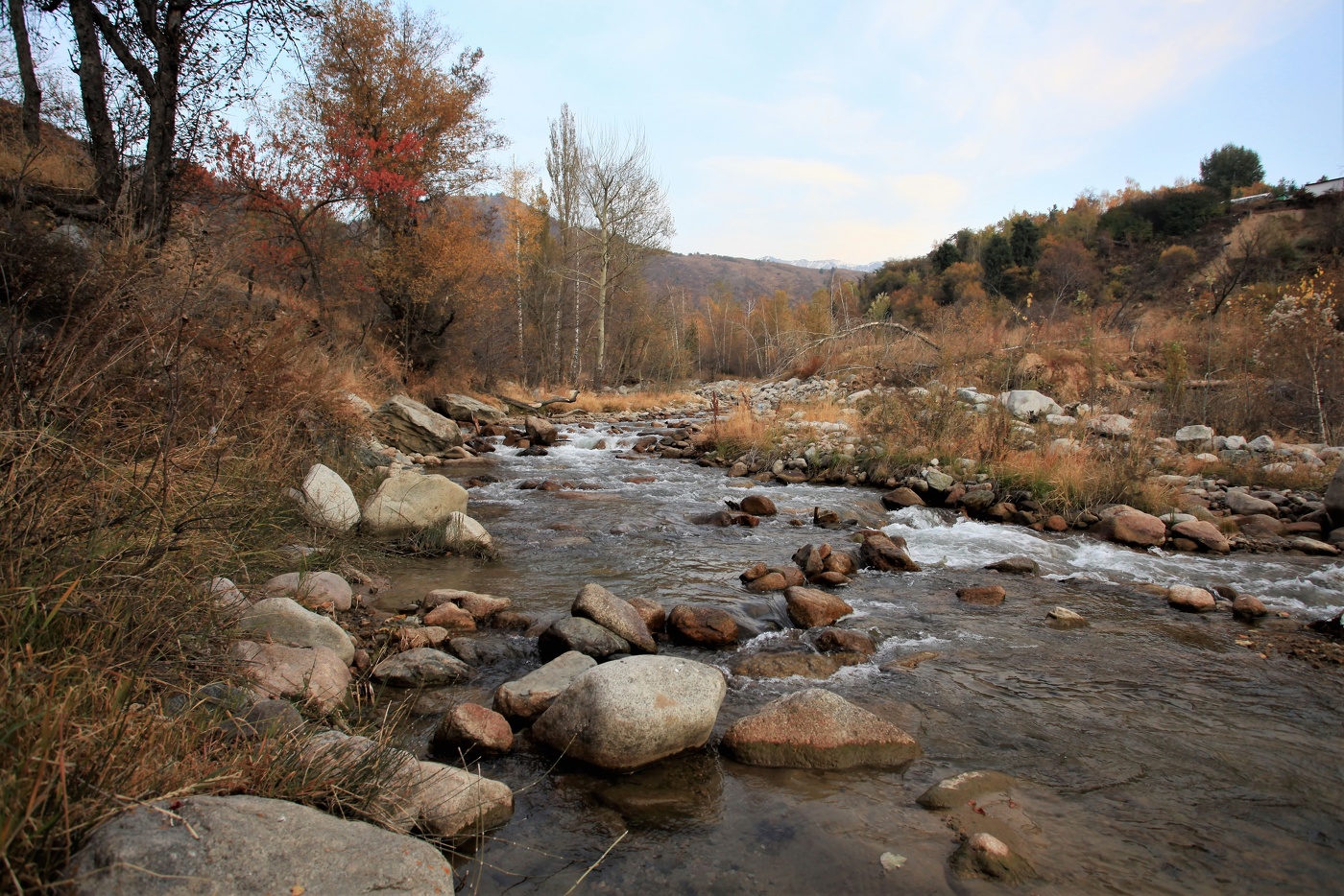 Тихий вечер