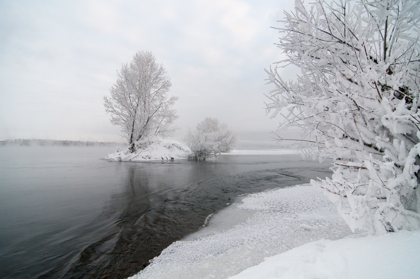 Морозным утром на берегу Енисея.