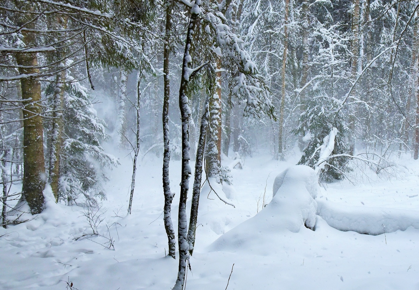 Опять метель ...