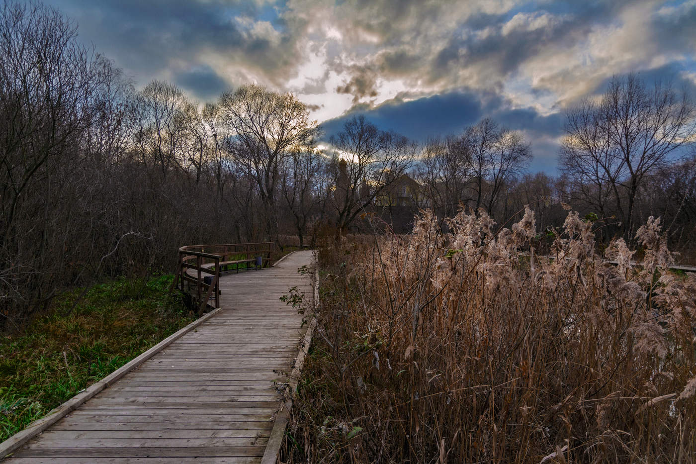 осенний пейзаж