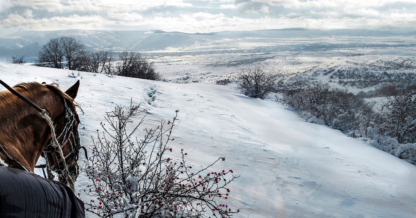 Витаминное блюдо.