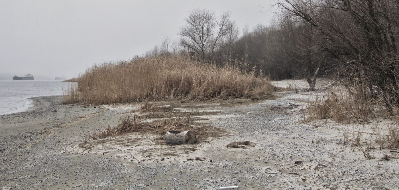 Отлив , туман , Дон , корабли ..