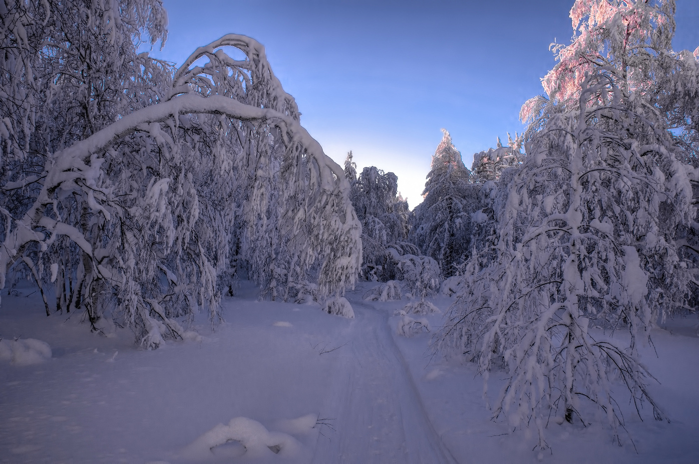 Зимняя дорога