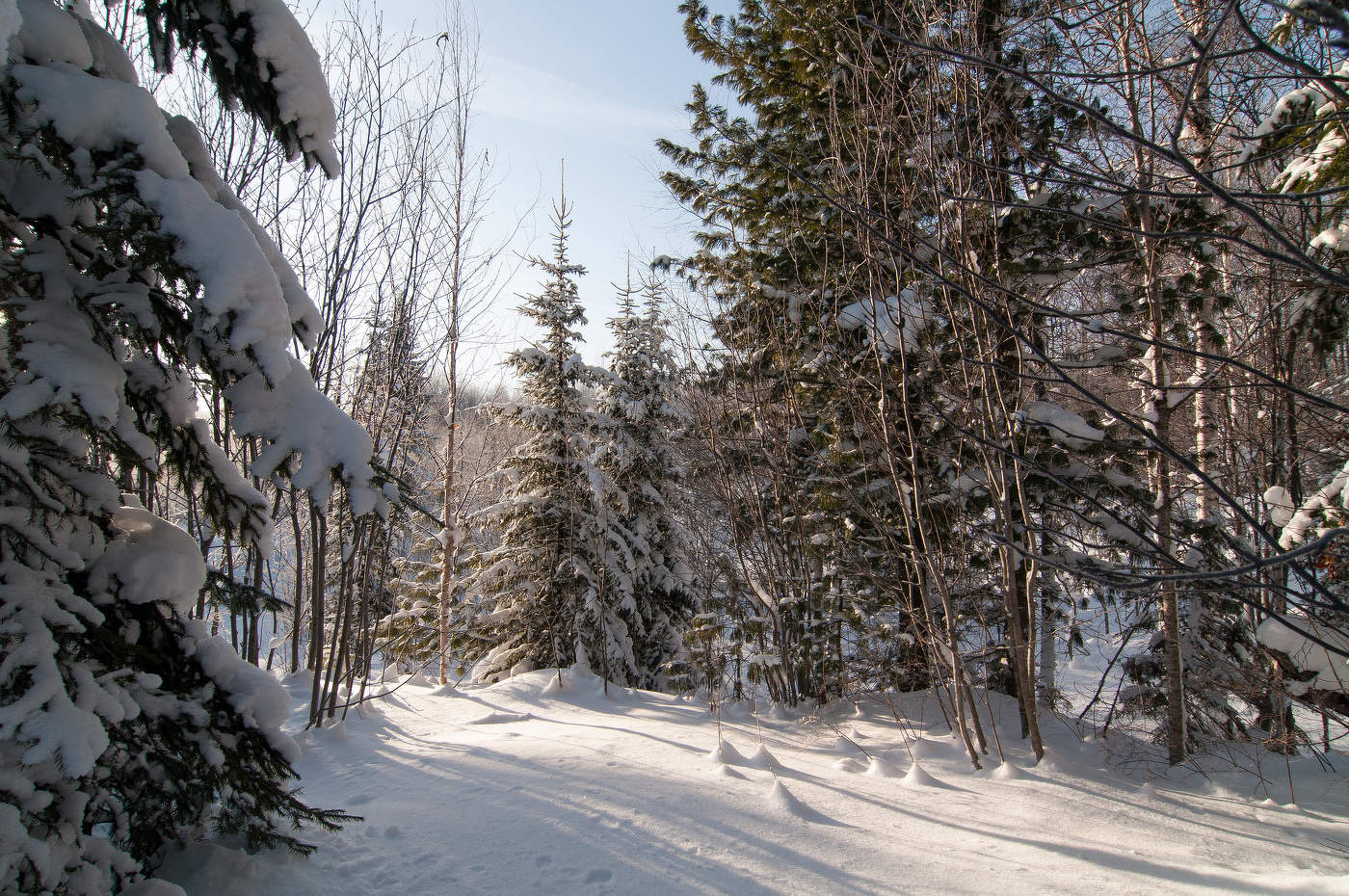 Где не ступала нога человека...нормального
