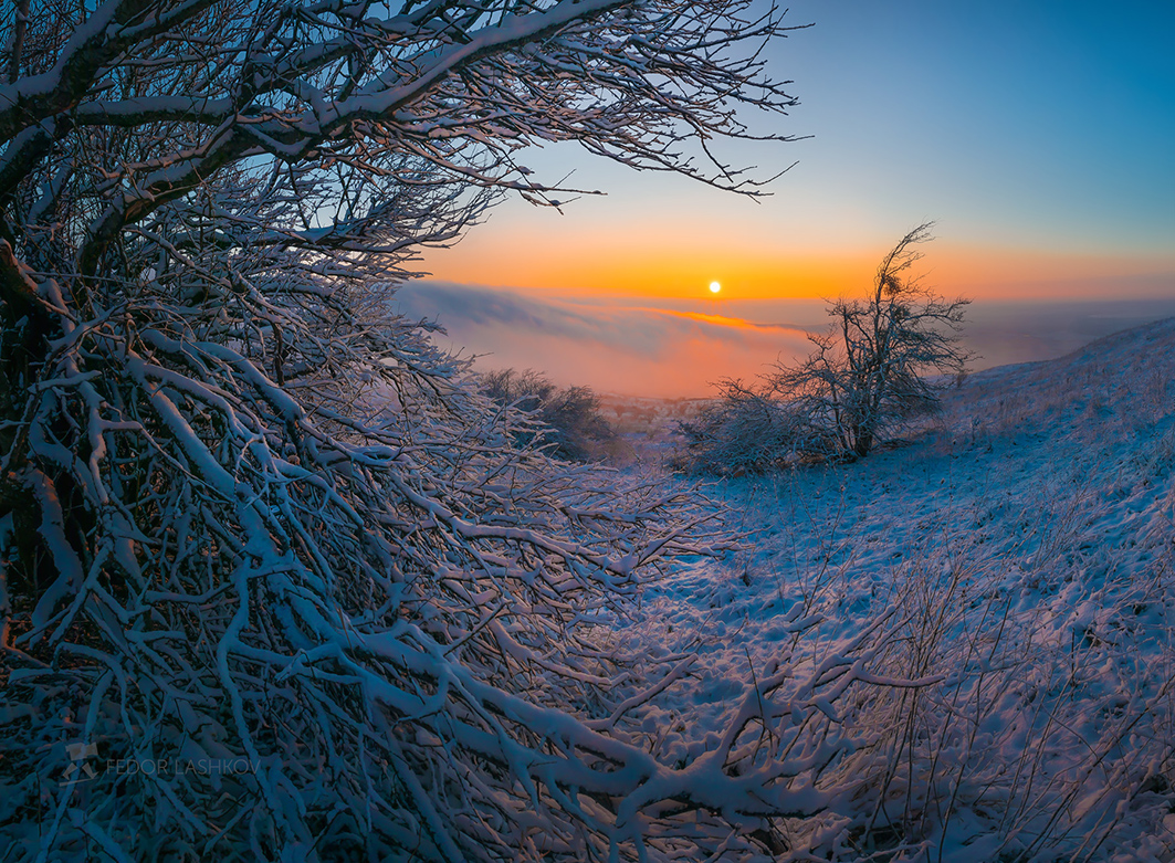 Ноябрьский снег