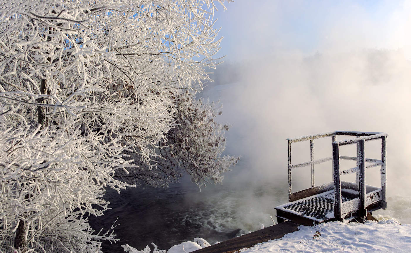 На ветвях развешен иней...