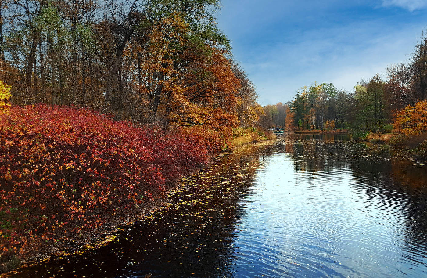 Вспоминая осень.