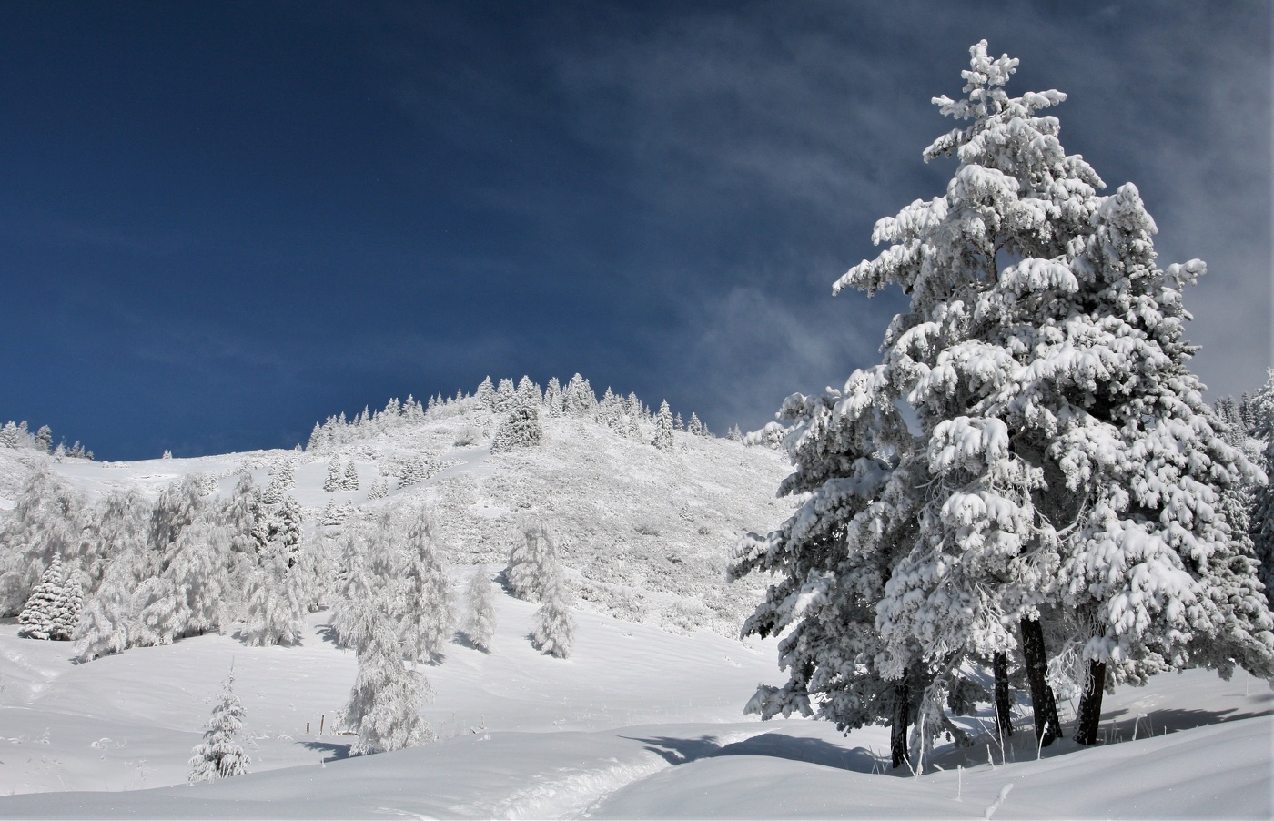Новый год не за горами ...