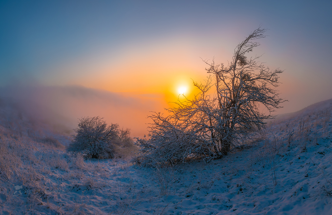 Из серии «Тёплое солнце»