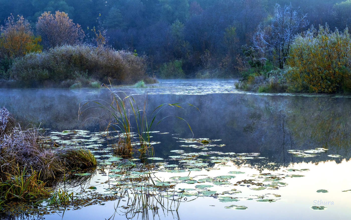 На озере Рожок...