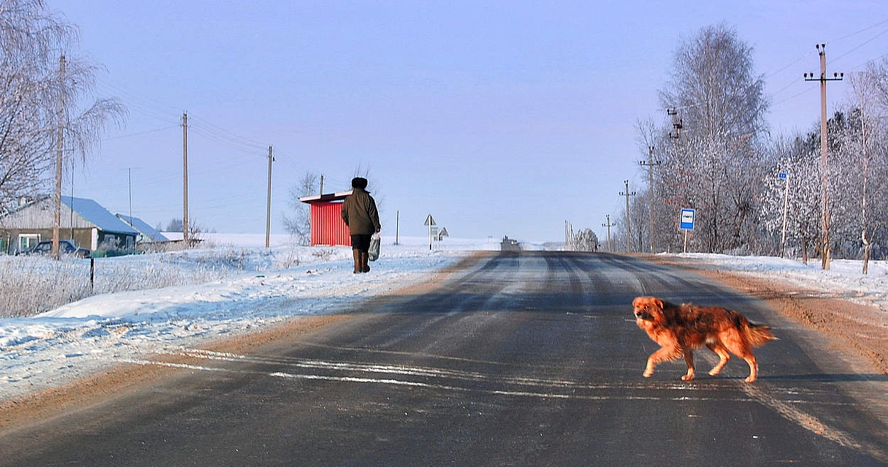 Каждому своя дорога