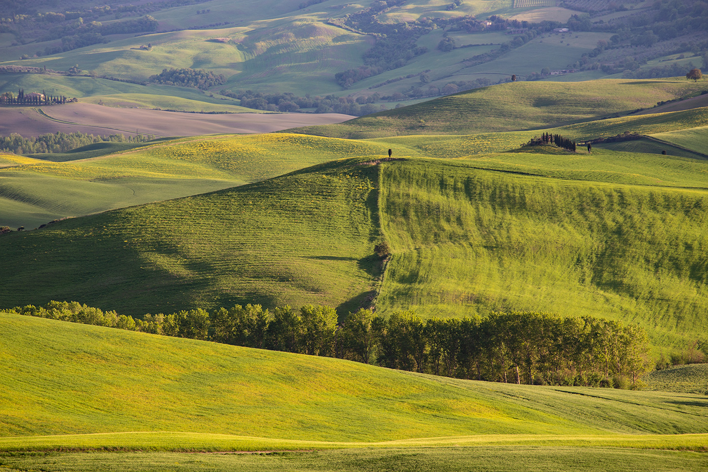 Зеленые холмы