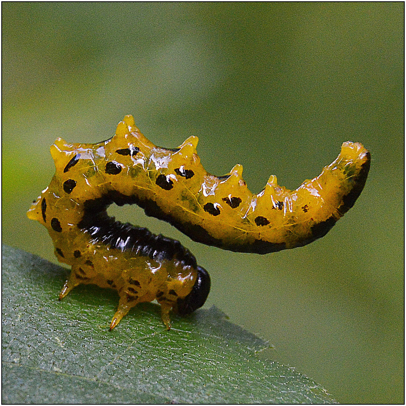 Упражнение №...