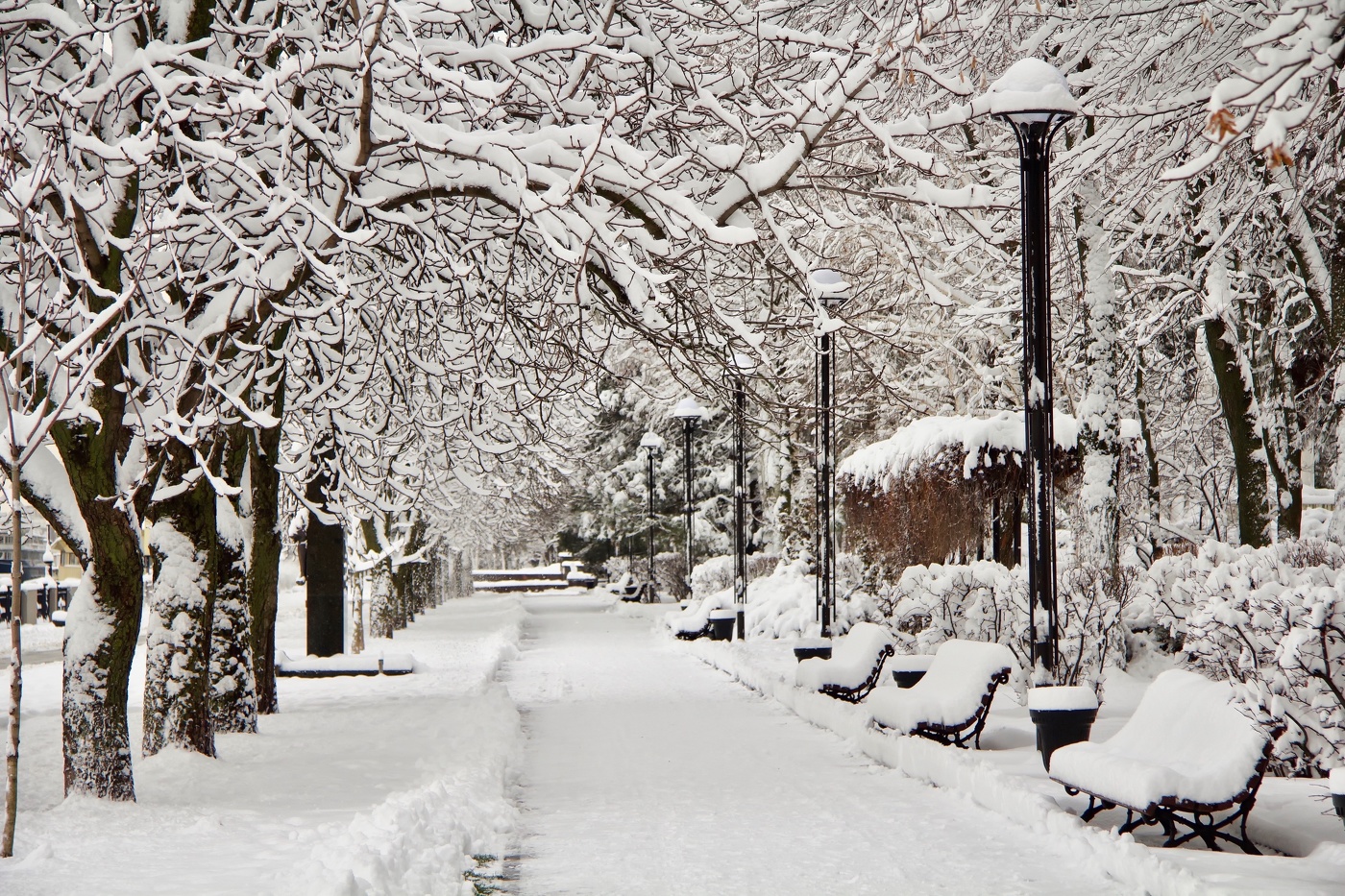 Утро 27 Декабря