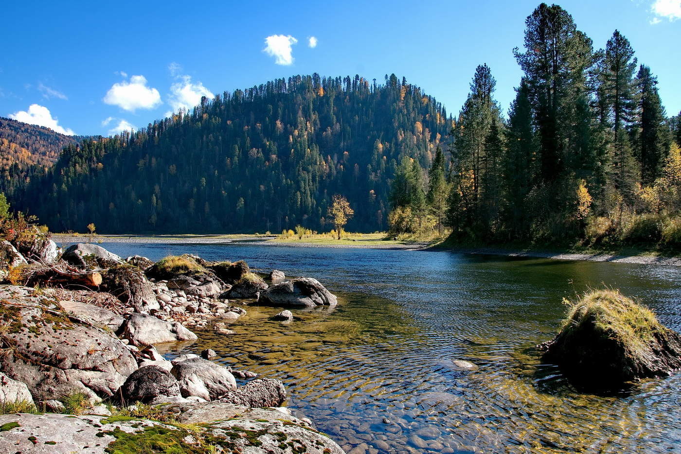 *На берегу Бии.**