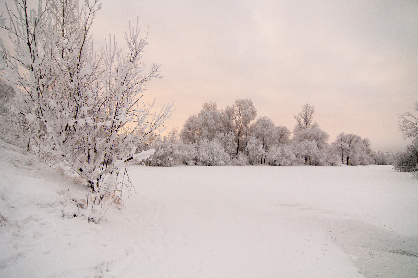 Такое зимой утро...